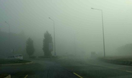 Menteşede sis sürücüleri zorladı