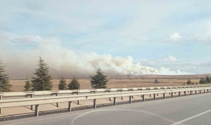 Mısır tarlasında korkutan yangın