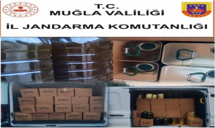 Muğlada bin 520 litre sahte zeytinyağı ele geçirildi