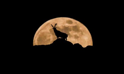 Niğdeli fotoğraf sanatçısı Aladağlardaki eşsiz anı böyle kadrajına aldı