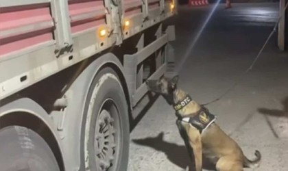 Osmaniyede durdurulan tırda 21 kilo 700 gram uyuşturucu ele geçirildi