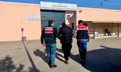 Osmaniyede El Kaide operasyonu: 1 tutuklama