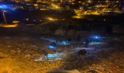 Otomobil şarampole yuvarlandı: 1 yaralı