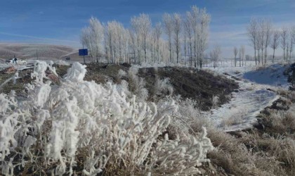 Özalp dondu ağaçlar kırağı tuttu
