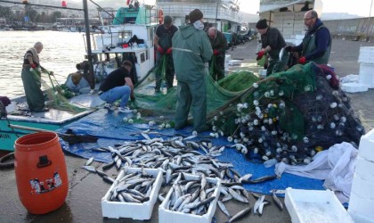 Palamut, hamsi, istavrit ve mezgitin ardından bu kez de kefal bereketi yaşanıyor