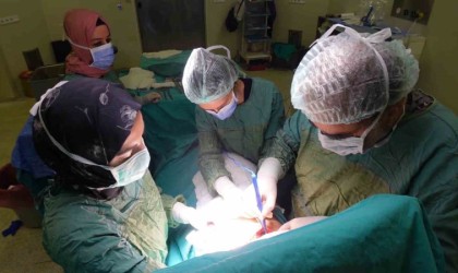 Prof. Dr. Balcı: Bazı hastalarda komplikasyonun gelişmesinde sigara ve alkol önemli bir risk faktörüdür