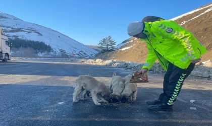 Refahiyede polis ekipleri sokak hayvanlarını unutmadı