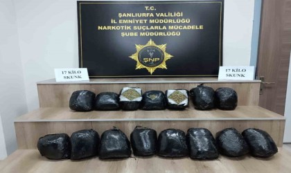 Şanlıurfada 17 kilo skunk ele geçirildi: 1 gözaltı