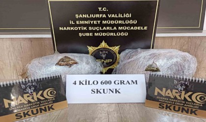 Şanlıurfada uyuşturucu operasyonu: 5 tutuklama