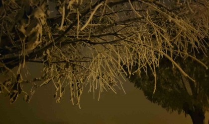 Sibirya soğuklarının başladığı Bitliste araçlar naylon brandalarla sarıldı