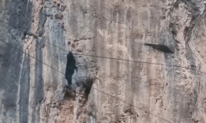 Siirtte tel örgülerde asılı kalan keçi kurtarıldı
