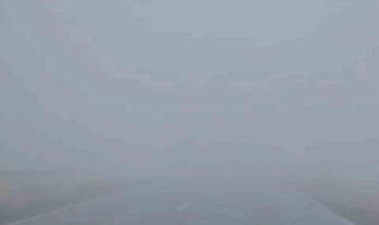 Siirtte yoğun sis görüş mesafesini düşürdü