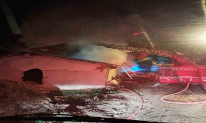 Sinopta yangın: 5 büyükbaş hayvan telef oldu