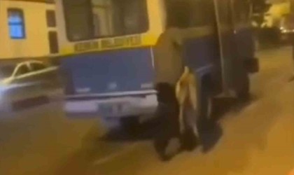 Sokak köpeğine yapılan müdahaleye tepki: Bırak çığlıklarıyla engellemeye çalıştılar