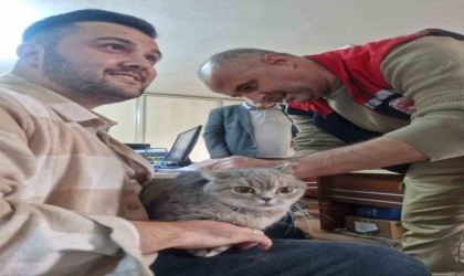 Söke ilçe tarımdan ‘çipleme çağrısı