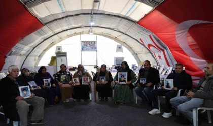 Suriyede rejimin düşmesiyle Diyarbakır anneleri orada olan çocuklara teslim olmaları çağrısında bulundu