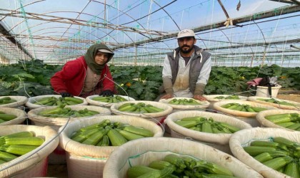 Suriyeden kaçıp Türkiyede evlenen çift: “Esadın yaptığını bize gavur yapmadı”