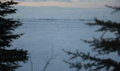 Tahıl ambarı Konya Ovasında kar yağışı rekolte umutlarını arttırdı