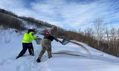Tatvanda yaban hayvanları için doğaya yem bırakıldı