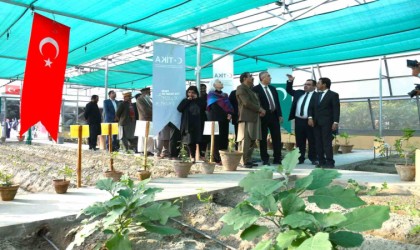 TİKAdan Pakistana modern eğitim ve kontrol serası