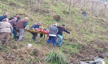 Trabzonda otomobil dereye uçtu: 2 yaralı