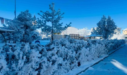 Türkiyenin en soğuk yerleşim yerinde hayat durdu