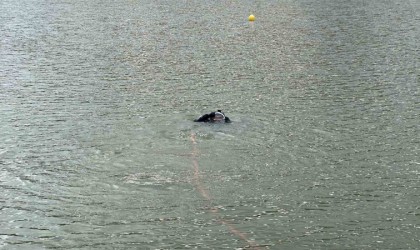 Uşakta kaybolan vatandaş için arama çalışması başlatıldı