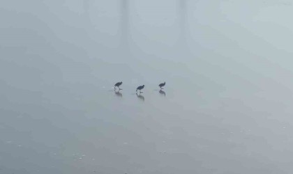 Vanda dereler dondu, ağaçlar kırağı tuttu