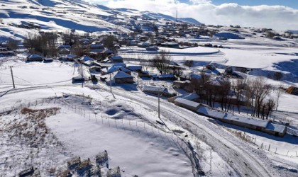Vanda kardan dolayı kapanan 119 yerleşim yerinin yolu açıldı