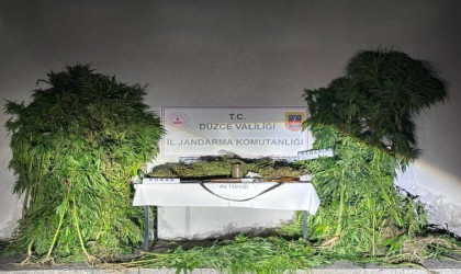 2024 yılında uyuşturucudan 185 kişi tutuklandı