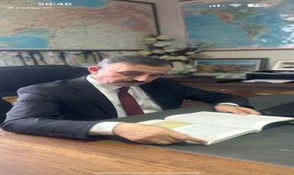 Ağrının göç izdüşümü