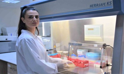 Antibiyotik dirençli bakteriye karşı yeni keşif