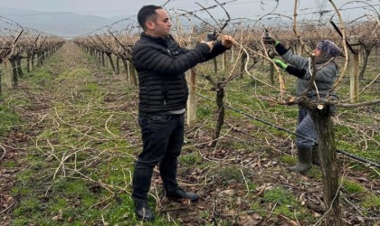 Artan maliyetler sonrası aileler bağlarını kendileri buduyor