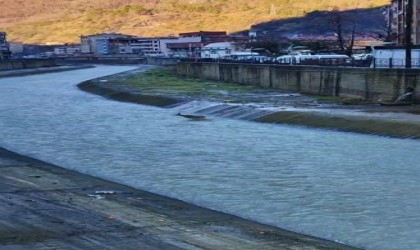 Artvinde derede mahsur kalan karaca kurtarıldı