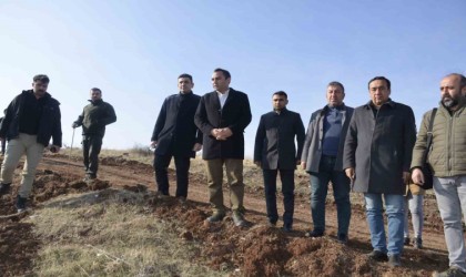 Besnide 13 bin fidan toprakla buluşuyor