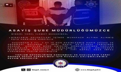 Bingölde hakkında 3 yıl kesinleşmiş hapis cezası bulunan şahıs yakalandı