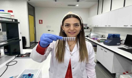 Bir buçuk asırlık üzüm bağları geleceğe taşınıyor