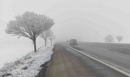 Bitliste sis etkili oldu