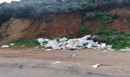 Bodrumda çevre katliamına 70 bin TL ceza