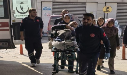 Budadığı ağaçtan düşen şahıs yaralandı