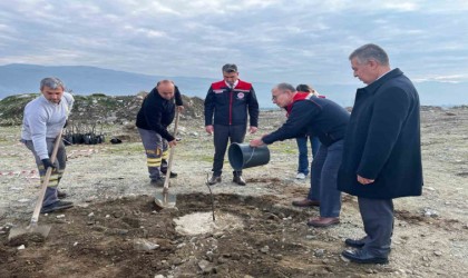 Buharkentte Kaliteli İncir, Kaliteli İlek projesi kapsamında fidan dikimi gerçekleştirildi