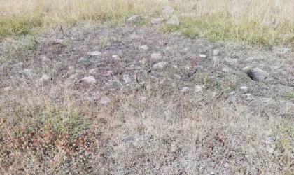 Cevizdere Şehitleri Gazileri Derneği kapatılma tehlikesiyle karşı karşıya