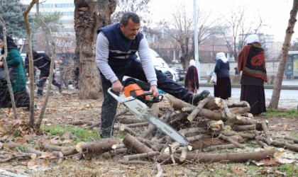 Diyarbakırda 24 bin 833 ağaç budandı