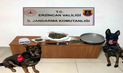 Erzincanda jandarma ekipleri 2024 yılı Aralık ayında meydana gelen olayların yüzde 98ini aydınlattı