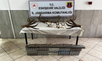 Eskişehirde kaçak tütün operasyonu