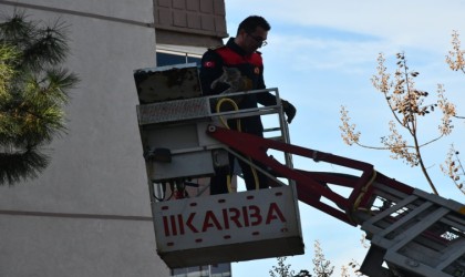 Günlerdir ağaçta mahsur kalan kedi, itfaiyenin çalışmasıyla kurtarıldı