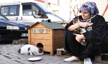 Hayvanseverler istedi, Başkan Çavuşoğlu sözünü tuttu