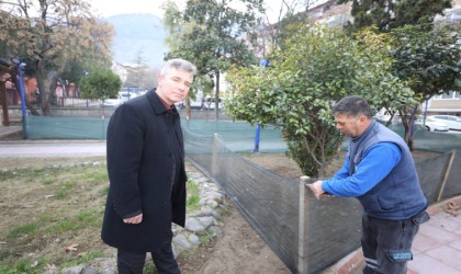 Hem doğaya katkı hem estetik görünüm