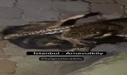 Hindistanda çekilen görüntüyü İstanbuldaymış gibi paylaştılar