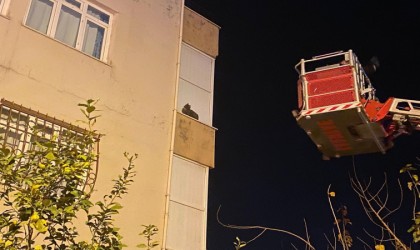 İskenderunda balkonda mahsur kalan kediyi itfaiye kurtardı